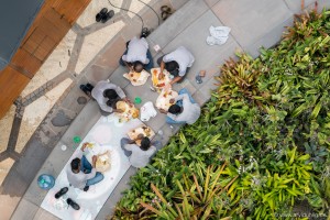 Und dann solch schöne Ausblicke vom Supertree-Skywalk aus: Wer da nicht Hunger bekommt, ist selber Schuld. Sieht einladend aus, oder?