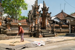 Und das ist dann der letzte Schritt: der Reis aus den Säcken muss getrocknet werden. Das passiert einfach vor der Haustür. Vorm Tempel. An der Straße.