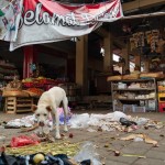 Sobald eine Opfergabe gemacht ist, kommen die Götter und Geister und bedienen sich. Daraufhin ist das Opfer "leer" und kann vergammeln oder vom Hund gegessen werden. | Markt in Banyuatis